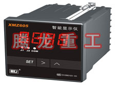 溫度表、數(shù)字顯示儀、濕度表