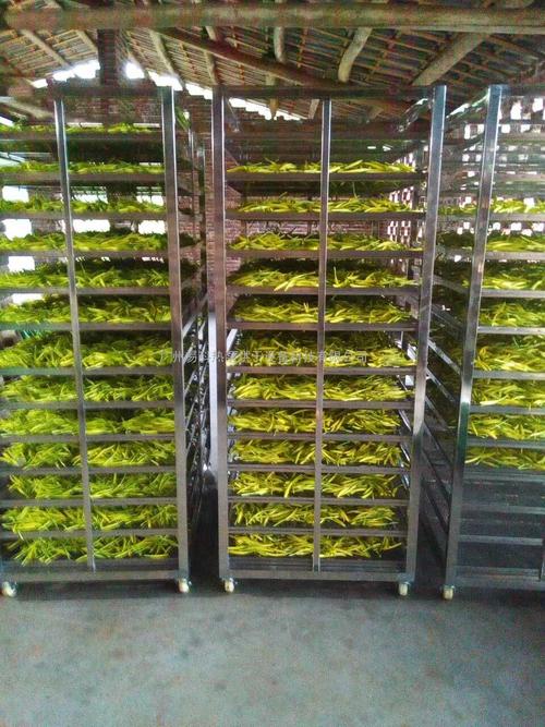 黃花菜烘干機(jī)、黃花菜烘干設(shè)備、黃花菜干燥機(jī)、黃花菜干燥設(shè)備、